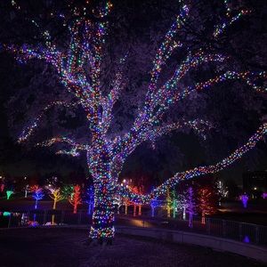 Meet your Posher, Zaffer ali